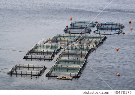 Aquaculture 40478175
