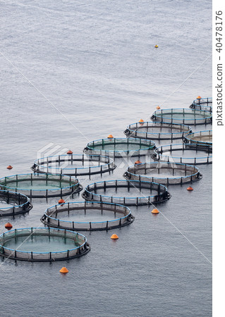 Aquaculture 40478176