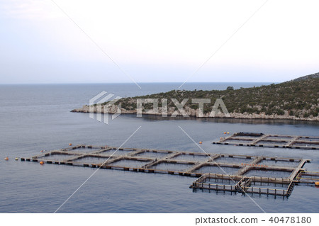 Aquaculture 40478180