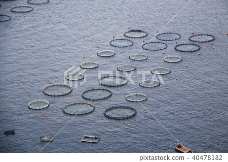 Aquaculture 40478182