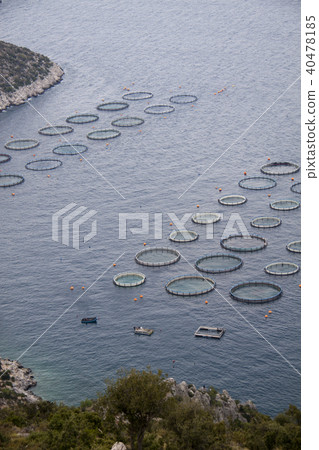 Aquaculture 40478185