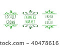 Farming Hand Drawn Vector Icons, Doodle Floral Frames, Green Drawings. 40478616