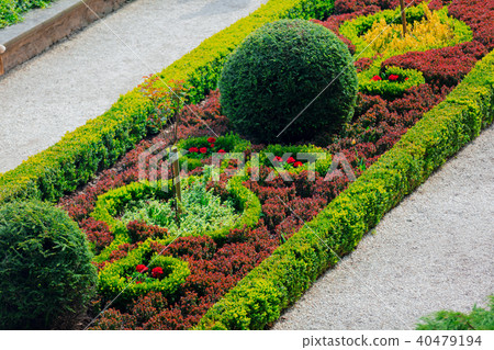 Beautiful garden decoration of bushes and flowers 40479194