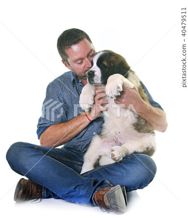 puppy saint bernard and man 40479511