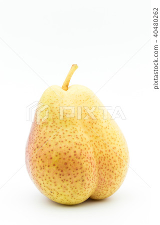 梨(var:Foel):Pear cv.Forelle 梨(var:Foel):Pear cv.Forelle 40480262