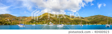 Harbor in British Virgin Islands Harbor in British Virgin Islands 40480923