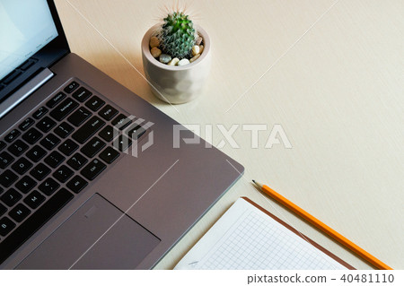 Working desk with laptop, notebook, pen and cactus 40481110