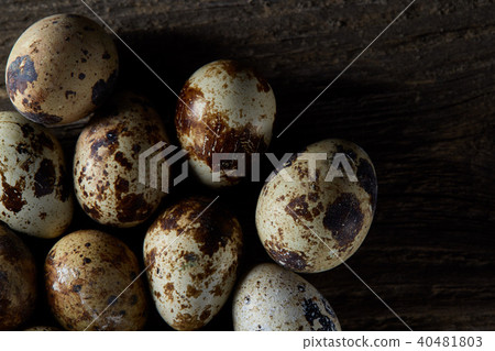 Spotted quail eggs arranged on the background of old wooden boards, with copy-space, selective focus 40481803