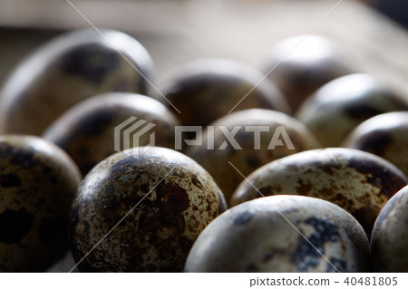 Spotted quail eggs arranged on the background of old wooden boards, with copy-space, shallow depth 40481805