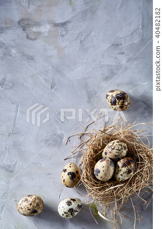 Conceptual still-life with quail eggs in hay nest over grey background, close up, selective focus 40482182