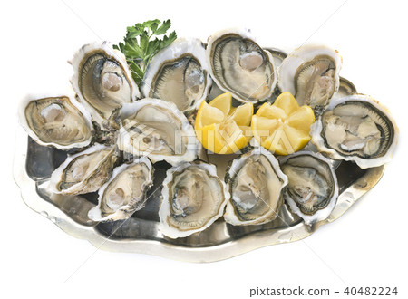 oysters on silver tray oysters on silver tray 40482224
