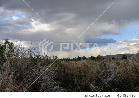 Stormy Skies over Mono Lake Stormy Skies over Mono Lake 40482486