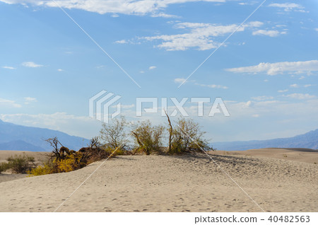 The Sand Dunes of Death Valley 40482563