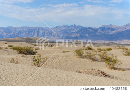 The Sand Dunes of Death Valley 40482568