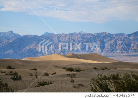 The Sand Dunes of Death Valley 40482574
