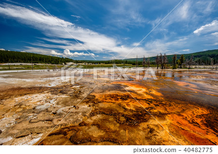 Hot thermal spring in Yellowstone 40482775