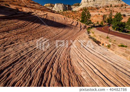 Landscape in Zion National Park 40482786