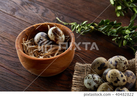 Rural still life with bowl full of eggs quail, eggs on a homespun napkin, boxwood on wooden 40482822