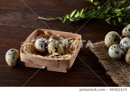 Composition of eggs quail box, eggs on a homespun napkin, boxwood on wooden background, top view Composition of eggs quail box, eggs on a homespun napkin, boxwood on wooden background, top view 40482824