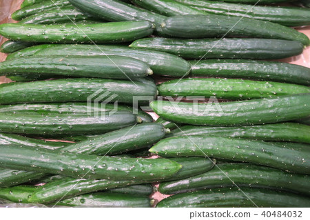 Cucumber 40484032