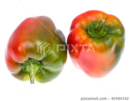 Colorful Bulgarian sweet pepper Colorful Bulgarian sweet pepper 40484192