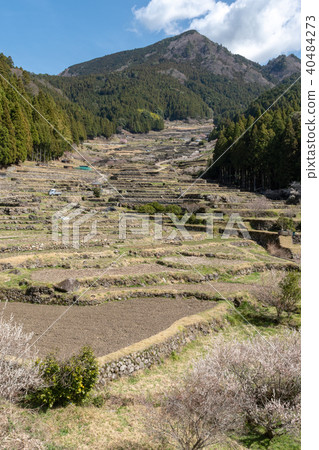 Terraced blue sky 40484273