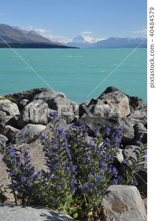 Mount Cook, Lake Pukaki Mount Cook, Lake Pukaki 40484579
