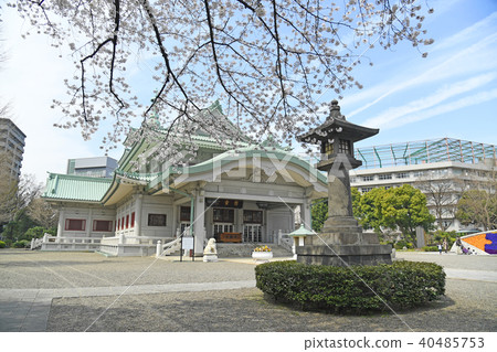 Sumida-ku，東京兩國春天Yokoan-cho公園櫻花 40485753
