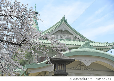 Sumida-ku，東京兩國春天Yokoan-cho公園櫻花 40485754