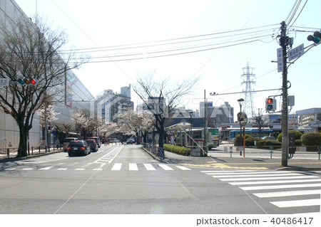 Kawasaki city Miyamae-ku Tokyu Denentoshi Line Suganuma Ekimae intersection 40486417