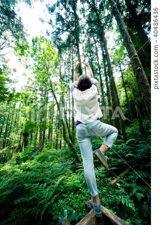 明池山景 40486436