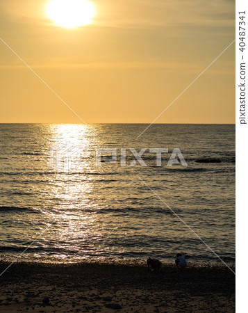 海邊 海邊 40487341