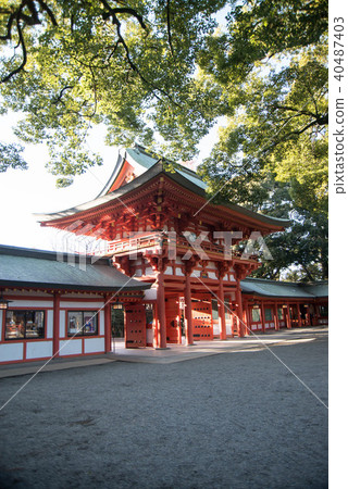Musashi Ichinomiya Hikawa Shrine Musashi Ichinomiya Hikawa Shrine 40487403