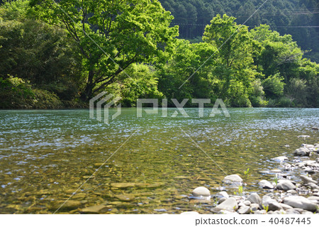 In the early summer Shimanto river upstream area 40487445