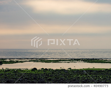 海邊 海邊 40490773