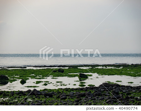 海邊 海邊 40490774