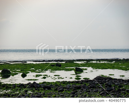 海邊 海邊 40490775