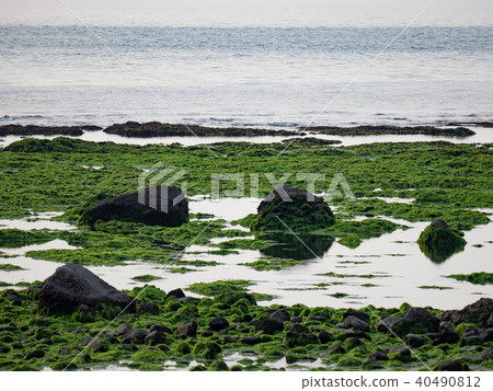 海邊 海邊 40490812