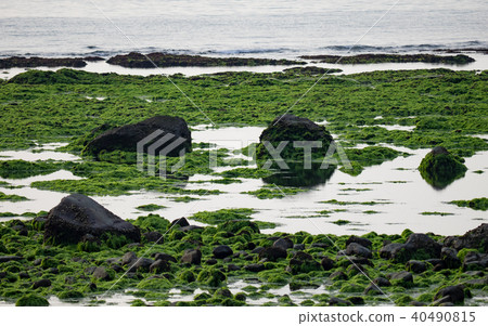 seaside seaside 40490815