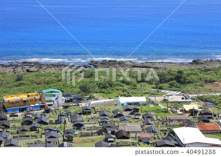 Tourism in Taiwan Views of Orchids 40491288