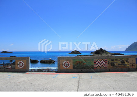 台灣旅遊觀賞蘭花 台灣旅遊觀賞蘭花 40491369