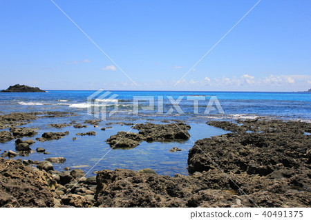 Taiwan tourism Landscape of Orchids 40491375