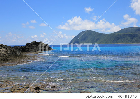 Taiwan tourism Landscape of Orchids 40491379