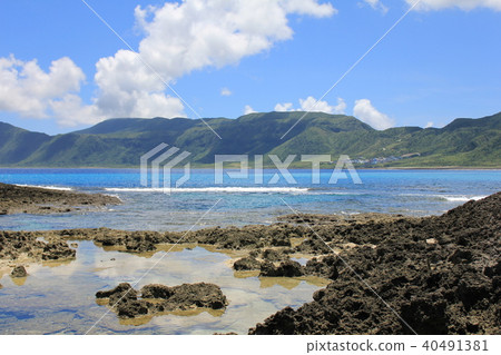 Taiwan tourism Landscape of Orchids 40491381