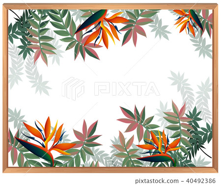 Paradise Bird Flower Blank Temoplate Paradise Bird Flower Blank Temoplate 40492386