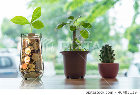 Gold coins and seed in clear bottle with Cactus in pot on the wooden table over the photo blurred background, Business investment growth concept Gold coins and seed in clear bottle with Cactus in pot on the wooden table over the photo blurred background, Business investment growth concept 40493119