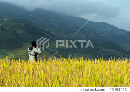 back side of photographer taking photo over the Rice fields on terraced of Mu Cang Chai District, YenBai province, Northwest Vietnam 40493423