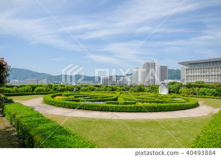 Yanagisaki湖畔公園 40493884