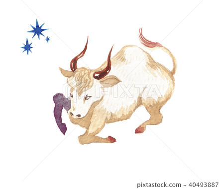 Twelve Constellation Taurus watercolor illustration 40493887