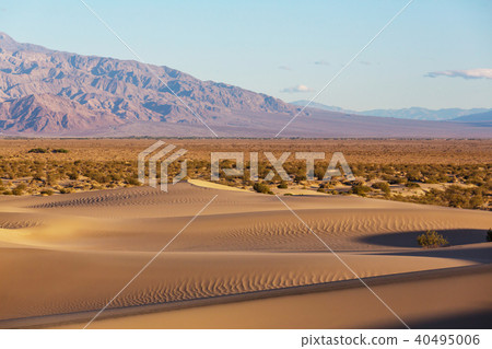 Sand dunes in California Sand dunes in California 40495006